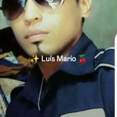 javierpan79882