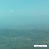 manager695 chico soltero en Deltebre