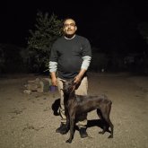 Busco pareja. Mujer y amistad y lo que