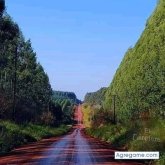 juanm9137 chico soltero en Puerto Iguazú