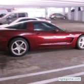 millie chica divorciada en Live Oak