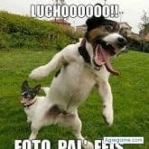 Foto de perfil de estevenargueta