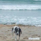 carlosurko chico soltero en Cádiz