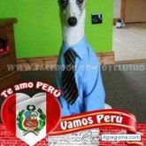 Renan Pacheco Gutierres