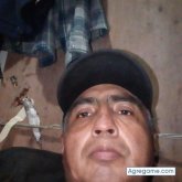 dragirimeri chico soltero en Ensenada