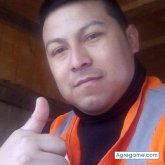 Chinorengifo chico soltero en Chincha Alta