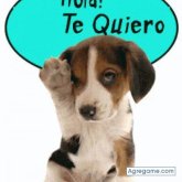 Durann chico soltero en Tulsa