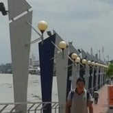 renepatricio