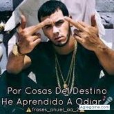Wilmer Castellanos