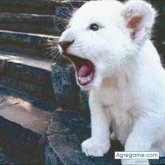 amgigh chico soltero en Manzanillo