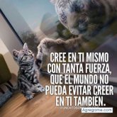 Ismaelforever