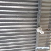 Abelinoizaguirre chico soltero en Nueva Gorgona