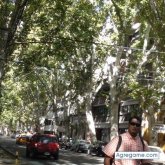javierE chico soltero en Lima
