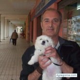 tonicoco chico soltero en Sevilla