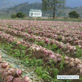 arielramirez2766 foto #7