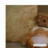 tono56 chico soltero en Tangancícuaro