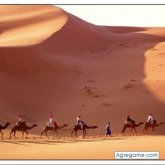 dadou chico soltero en 