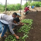 Busco pareja. Mujeres y amigos. Soy