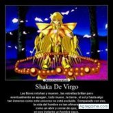 javierfederico9644 chico soltero en Cañada Rosquín