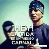 Gerarditoo Real Solis