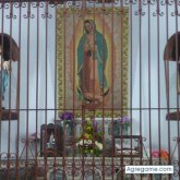 Encuentra Hombres solteros en Tempoal