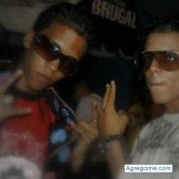 starlingg foto #14