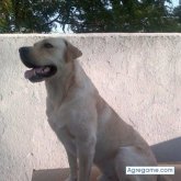 KiKe28 chico soltero en Fuensanta De Martos