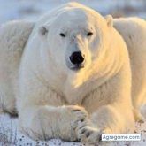 jesusrondon4843 chico soltero en Naguanagua