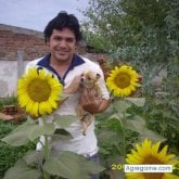 Foto de perfil de romeo1970