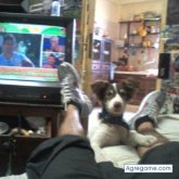 pappito chico soltero en Formosa