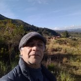 carloseduardo50791
