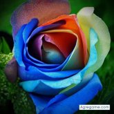 SASHACAROLINA foto #9