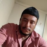 Busco pareja. Los caballos.