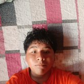 willianalcides