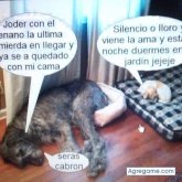 migua chico soltero en Santa Ursula