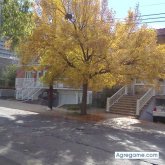 Angelobesa chico separado en 