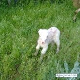 hectormedi87 foto #21