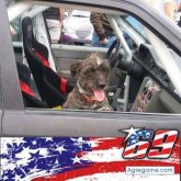 Busco ligar. Conocer gente cerca y