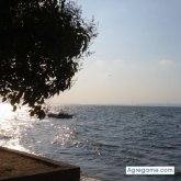 osmanak chico soltero en 