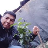 eliseoramirez5421