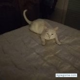 Viva. Busco conocer gente.