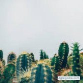 Chatear con jamesrojo19 de Medellín