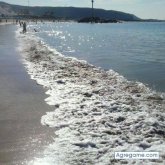 tenerife55 chico soltero en Arona