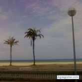 weedsaca chico soltero en Albatera