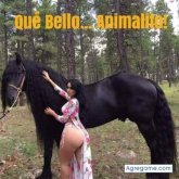 Foto de perfil de Isaelholguinanzule