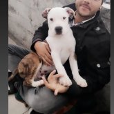 Darwin_Tatuador foto #9