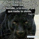 Chatear con 38ummmmm38 de Talanga