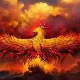 fernandodiaz7941 chico soltero en Gómez Farías