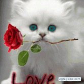 Neldys chico soltero en 