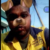 Maximo0231